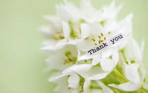 Thanks For Watching - Rustic Beauty In White Flowers Wallpaper