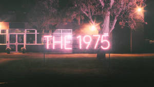 The 1975 Lighting Signage Wallpaper