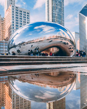 The Bean Chicago Water Reflection Wallpaper