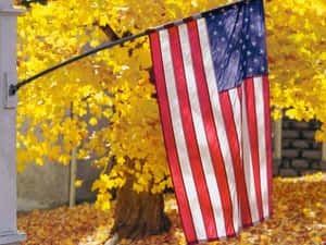 The Beautiful Life Of Autumn Wallpaper