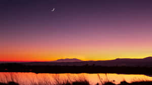 The Beauty Of Dark Nature Wallpaper
