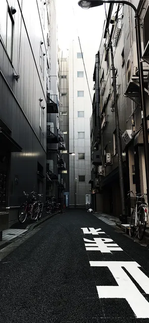 The Beauty Of Japan In Black And White Wallpaper