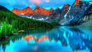 The Beauty Of November Fall Wallpaper