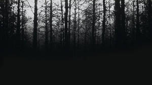 The Blair Witch Project Cover Wallpaper