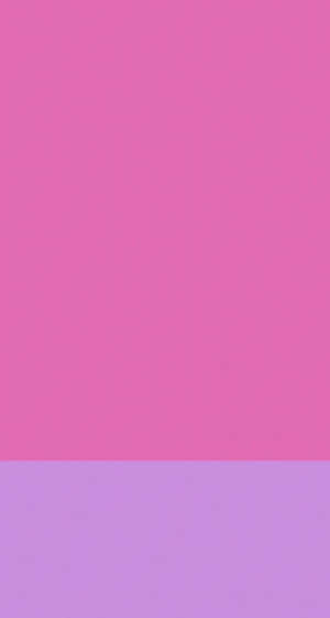 The Bright And Bold Iphone 5c Wallpaper