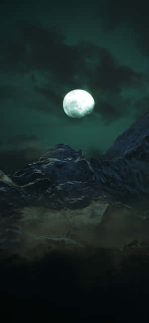 The Dark Beauty Of Nature Wallpaper