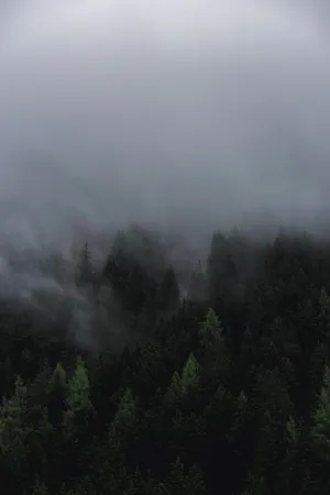 The Dark Unknown Wallpaper