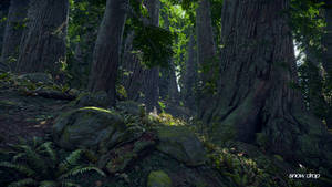 The Division Jungle Wallpaper