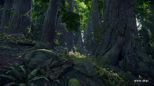 The Division Jungle Wallpaper