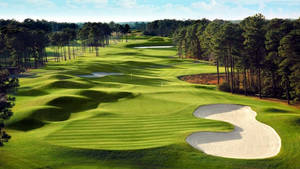 The Golf Grassland Wallpaper