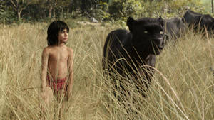 The Jungle Book Tall Grass Wallpaper