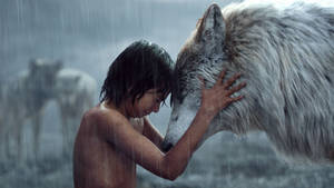 The Jungle Book White Wolf Wallpaper