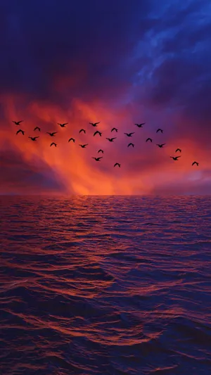 The Latest Samsung Galaxy Note 10 Plus In All Its Amazing Glory Wallpaper