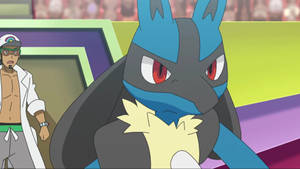 The Legendary Pokemon Lucario Wallpaper