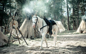 The Lone Ranger White Horse Wallpaper