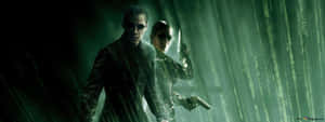 The Matrix Movie Hd Wallpapers Wallpaper