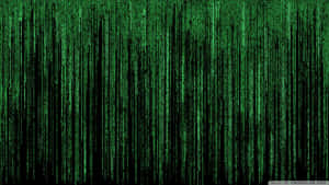 The Matrix Wallpaper Hd Wallpaper