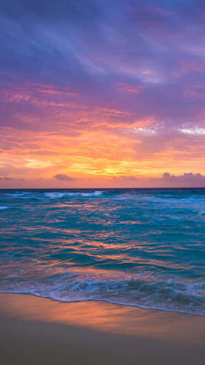 The Ocean Is A Beautiful Place To Explore Wallpaper