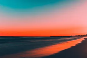 The Perfect Beach Day Wallpaper