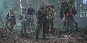 The Rain Survivorsin Forest Wallpaper