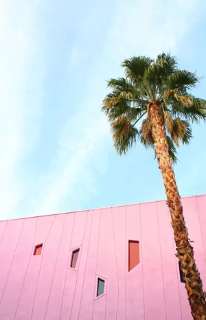 The Saguaro Palm Springs Hotel Wallpaper