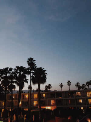 The Saguaro Palm Springs Wallpaper