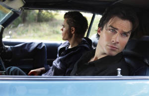 The Salvatores From The Vampire Diaries Wallpaper