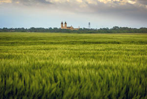 The Scenic Beauty Of St. Fidelis Basilica Surrounded By Golden Fields In Kansas Wallpaper