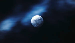 The Silhouetted Trees Framed By A Full Moon In A Dim Sky Wallpaper