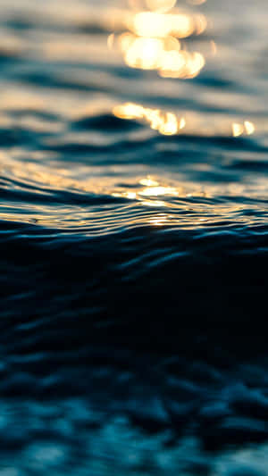 The Sun Is Shining On The Water Wallpaper