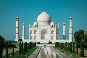 The Taj Mahal Reflection Pool Wallpaper