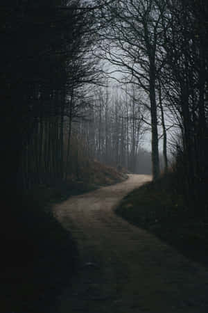 The Untamed Beauty Of Dark Nature. Wallpaper