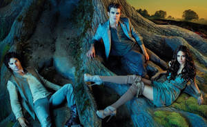 The Vampire Diaries Characters Posing On Tree Roots Wallpaper