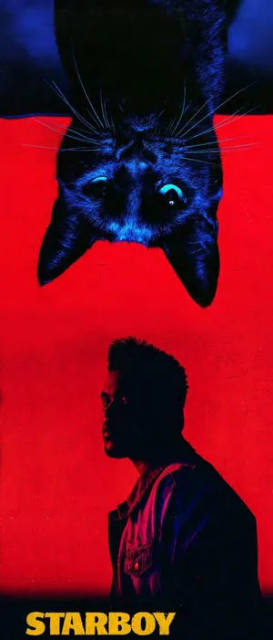 The Weeknd Starboy Poster Iphone Wallpaper