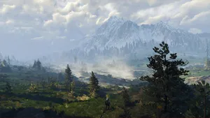 The Witcher Hero, Geralt In A Dark, Mysterious Forest Setting. Wallpaper