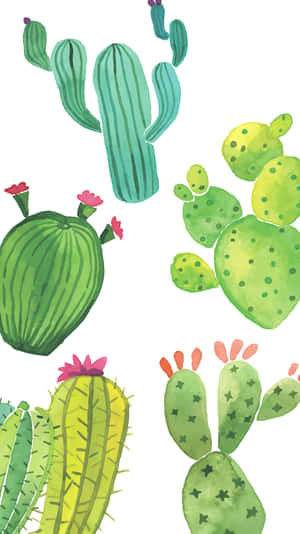 “this Adorable Cactus Will Bring A Dash Of Style To Any Space” Wallpaper