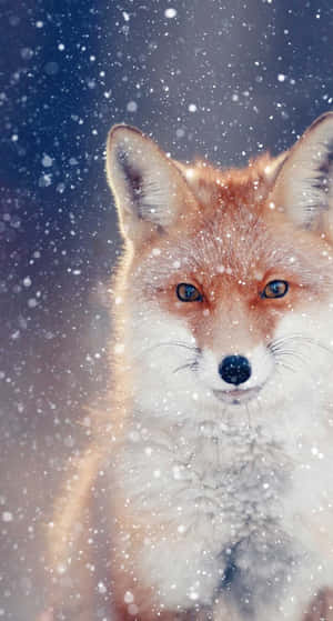 This Cool Anime Fox Is Ready To Play Wallpaper