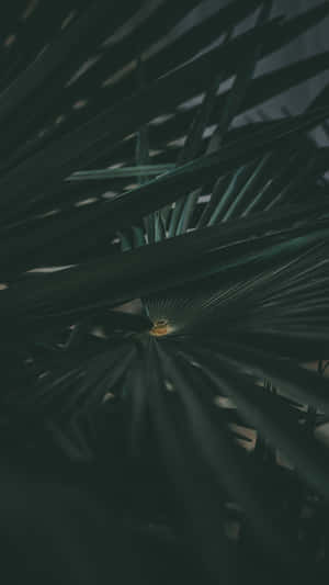 This Year, The Sleek And Stylish Olive Green Iphone Is The Must-have Accessory For Staying Connected With Friends And Loved Ones. Wallpaper