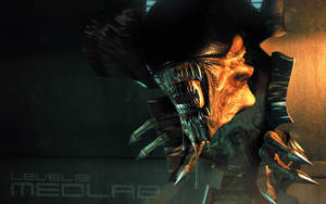 Thorough Alien Resurrection Game Art Wallpaper