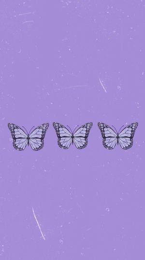 Three Purple Butterfly Phone Background Wallpaper