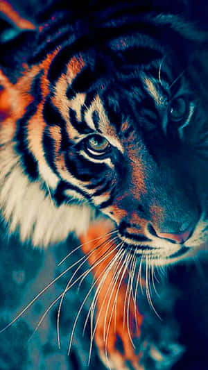 Tiger Phone - The Perfect Device To Take You Wild Wallpaper