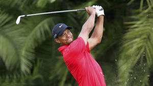 Tiger Woods Golf Swing Portrait Wallpaper