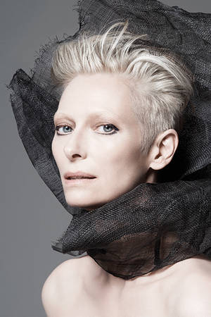 Tilda Swinton British Actress Portrait Wallpaper