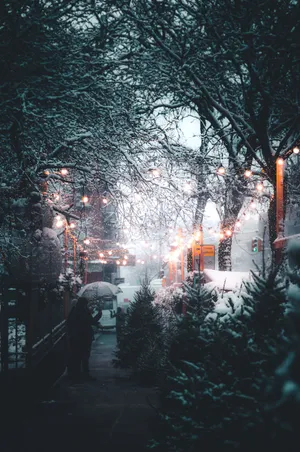 Times Square Winter Season Wallpaper