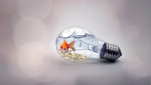 Tiny Goldfish In A Bulb Wallpaper