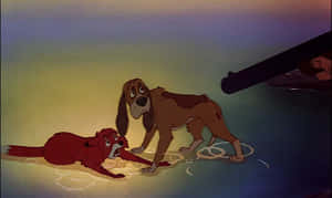Todd The Fox And Copper The Hound, A Heartwarming Friendship Wallpaper