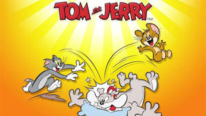 Tom And Jerry Cute Chase Wallpaper