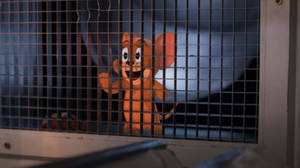 Tom Jerry Mouse 2021 Movie Scene Wallpaper