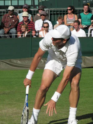 Tomas Berdych Close-up Photo Wallpaper