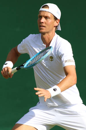 Tomas Berdych Green Backdrop Wallpaper